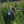 Load image into Gallery viewer, Support Your Wisco Farmer - Unisex TShirt