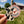 Load image into Gallery viewer, Wisconsin "Essentials" Sticker Pack
