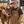 Load image into Gallery viewer, A smiling young boy stands in a barn next to a brown calf. He is wearing a beige and white trucker hat with a 'WI UP' patch, a dark gray t-shirt, and brown Carhartt overalls.
