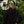 Load image into Gallery viewer, Wisconsin Up - Camo Standard Profile Hat
