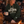 Load image into Gallery viewer, A woman sitting by a campfire at dusk wearing a dark green hoodie with 'WISCONSIN UP OUTFITTERS' printed in white across the chest. A golden retriever sits beside her, and other people and string lights are visible in the background.
