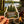 Load image into Gallery viewer, Wisconsin "Northwoods" Sticker Pack
