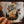 Load image into Gallery viewer, Wisconsin "Northwoods" Sticker Pack
