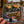 Load image into Gallery viewer, Wisconsin "Seasons + Reasons" Sticker Pack
