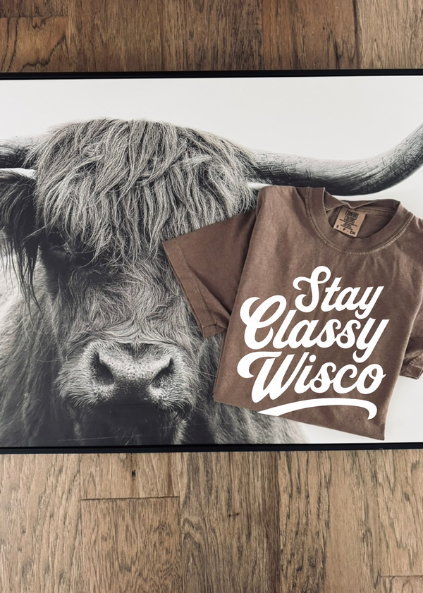 Stay Classy Wisco (Espresso) - Unisex TShirt
