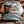 Load image into Gallery viewer, Wisconsin Up - Camo Standard Profile Hat
