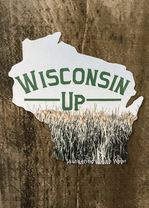 Wisconsin Sticker